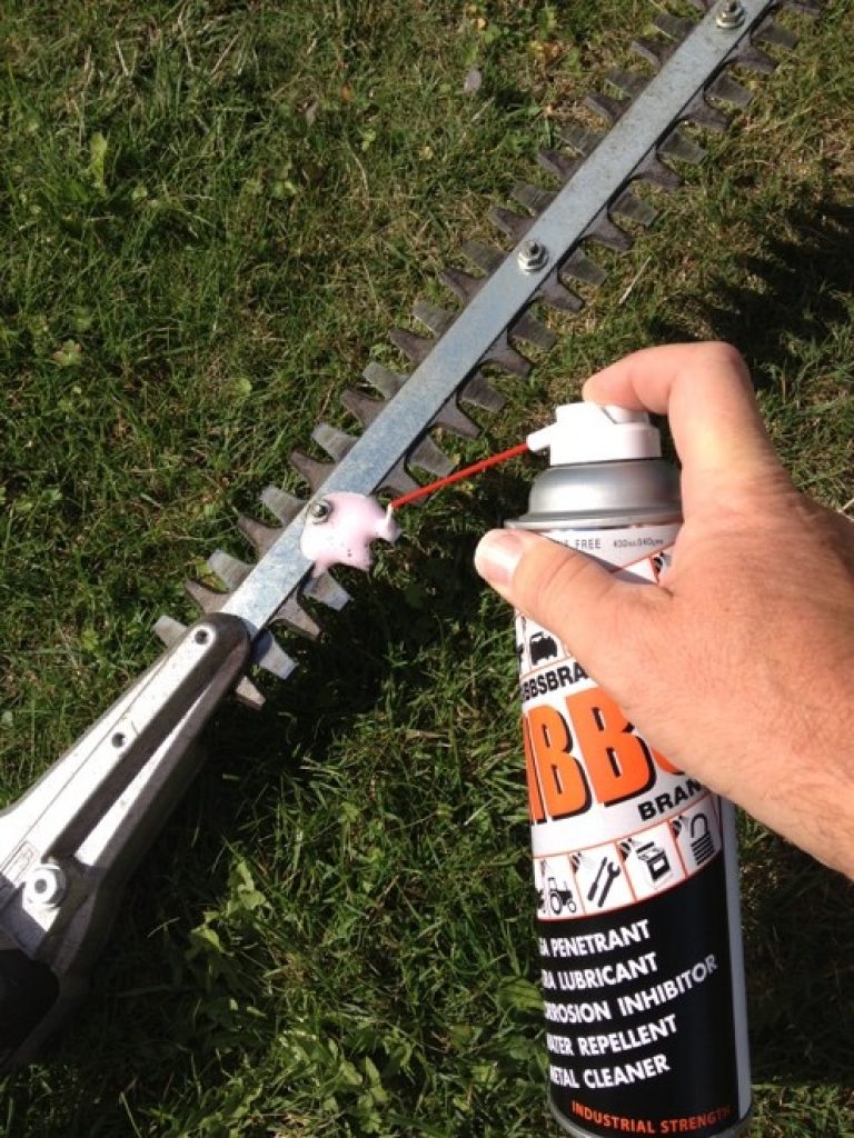 how to clean hedge trimmer blades